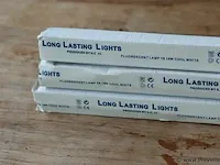 Long lasting lights t8 18w cool white - 3 stuks - afbeelding 4 van  4