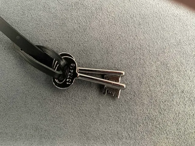 Louis vuitton - alzer 70 - black monogram - afbeelding 3 van  4