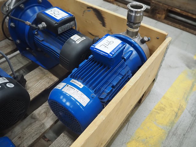 Lowara - afbeelding 2 van  4