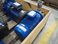 Lowara - afbeelding 2 van  4