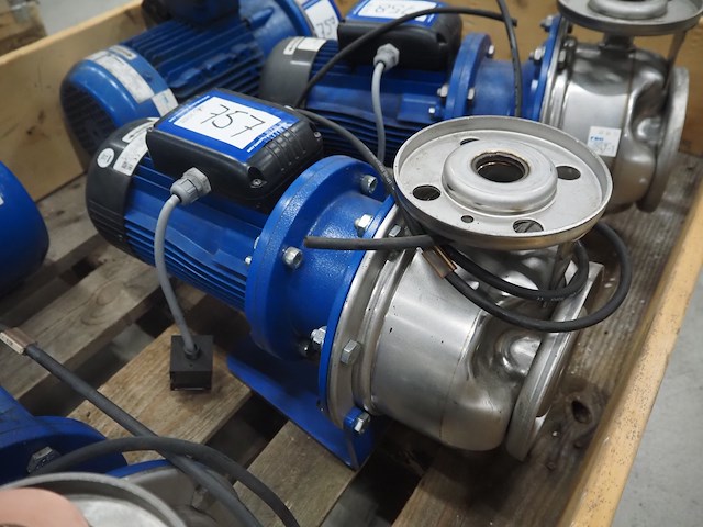 Lowara - afbeelding 1 van  5