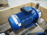 Lowara - afbeelding 2 van  5