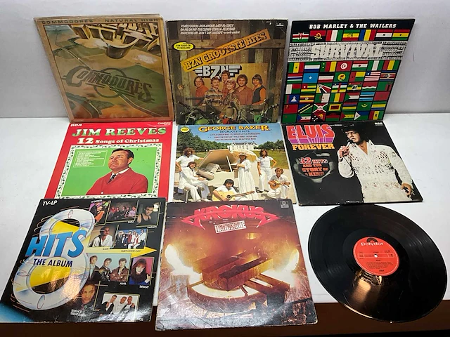 Lp (60x) - afbeelding 1 van  7