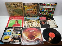 Lp (60x) - afbeelding 1 van  7