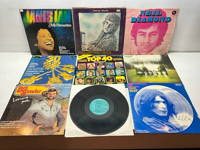 Lp (60x) - afbeelding 4 van  7