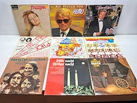 Lp (60x) - afbeelding 3 van  7