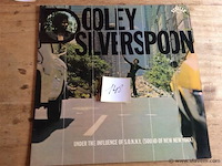 Lp d silverspoon - afbeelding 1 van  2