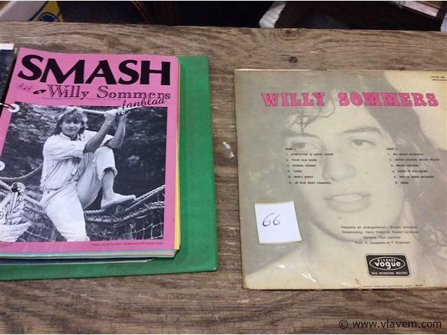 Lp + fanbladeren w sommers - afbeelding 2 van  2