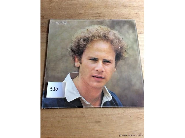 Lp garfunkel - afbeelding 1 van  1