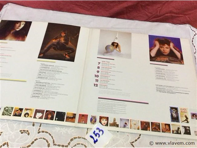 Lp kate bush - afbeelding 2 van  2