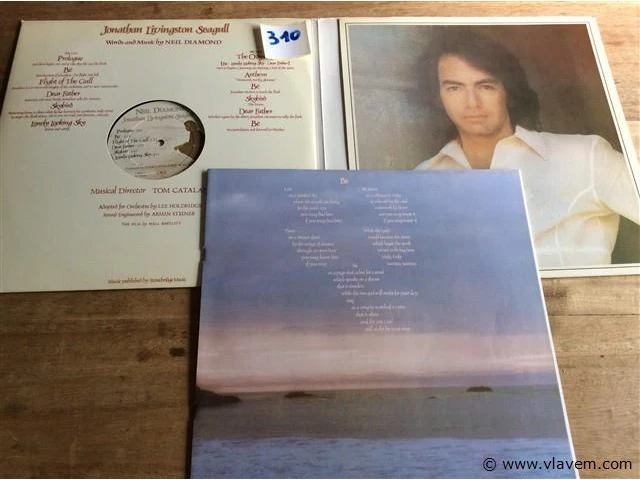 Lp neil diamond - afbeelding 2 van  2
