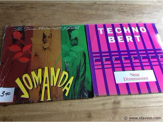 Lp's divers 2stuks ( jomanda & techno bert ) - afbeelding 1 van  1