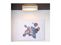 Lucide nuria plafondlamp 40 cm led 3 stepdim 1x24w 2700k wit - afbeelding 3 van  4