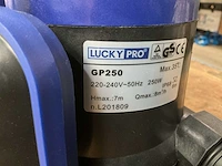 Lucky pro gp250 dompelpomp - afbeelding 4 van  4