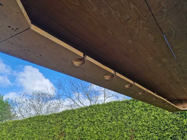 Luifel bar | 360 cm - afbeelding 16 van  23