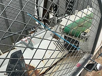 Lumag ssa-500g/hpro kliefmachine - afbeelding 20 van  35