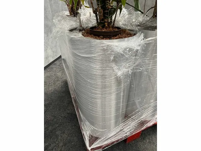Lune - plant divers met pot (5x) - afbeelding 9 van  18