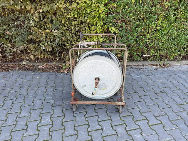 Maasmond verenhaspel - afbeelding 2 van  8