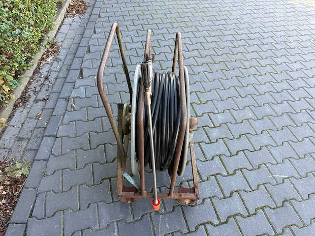 Maasmond verenhaspel - afbeelding 4 van  8