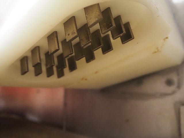 Maja - afbeelding 24 van  24