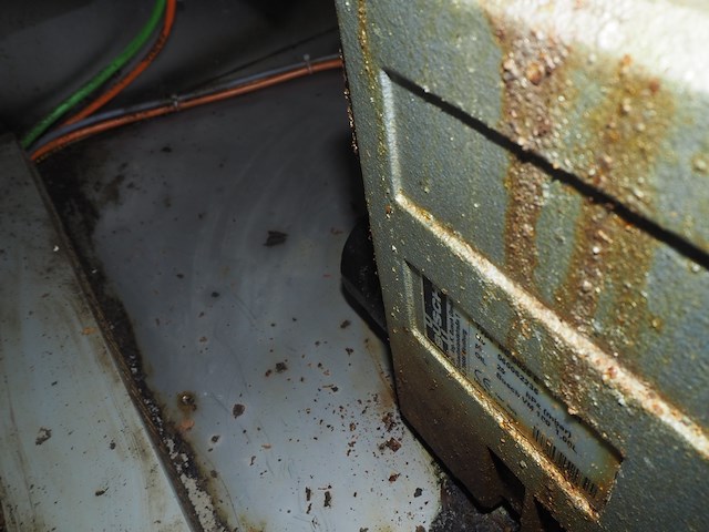 Maja - afbeelding 8 van  18