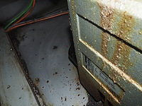 Maja - afbeelding 8 van  18