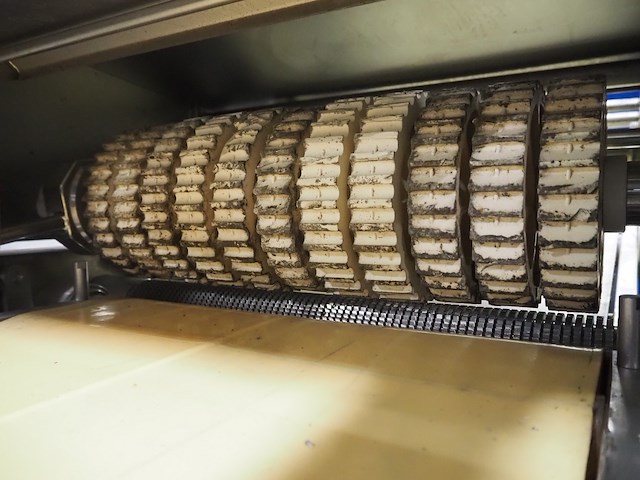 Maja - afbeelding 11 van  13