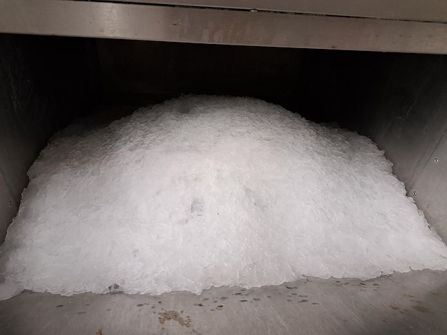 Maja - afbeelding 8 van  12