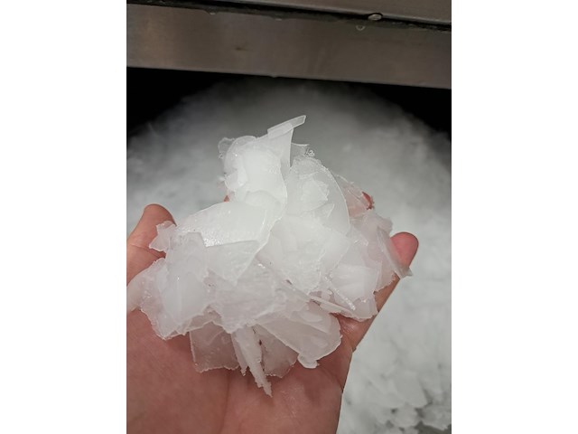 Maja - afbeelding 9 van  12