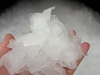 Maja - afbeelding 9 van  12