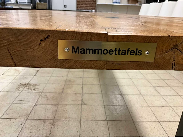 Mammoettafels eikenhouten restauranttafel - afbeelding 3 van  13