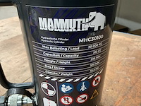 Mammuth mhc30100 hydraulische cilinder - afbeelding 3 van  3