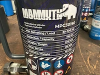 Mammuth mpc30150 hydraulische cylinder - afbeelding 3 van  3
