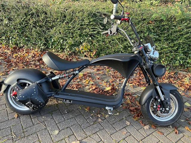 Mangosteen - snorscooter - ecruiser en type echopper 3.0 - e-scooter - afbeelding 10 van  21