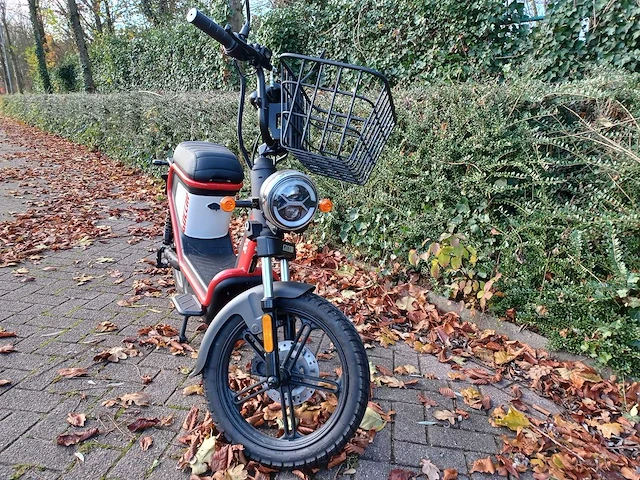 Mangosteen - snorscooter - ecruiser en type echopper 3.0 - e-scooter - afbeelding 11 van  21