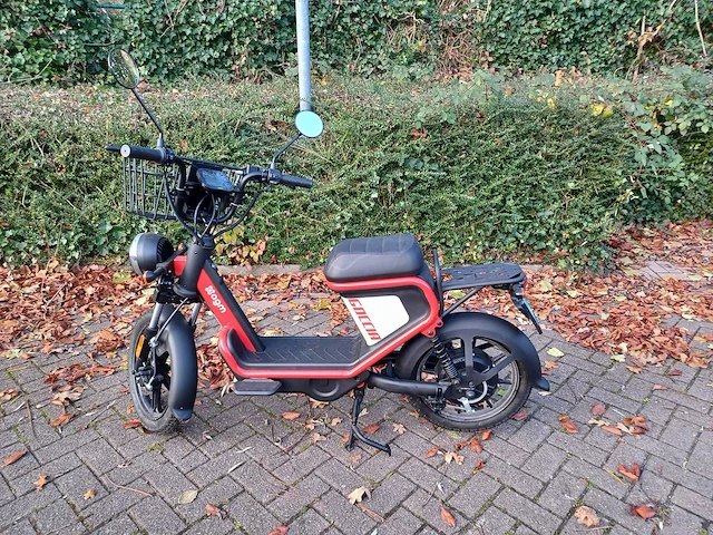 Mangosteen - snorscooter - ecruiser en type echopper 3.0 - e-scooter - afbeelding 12 van  21