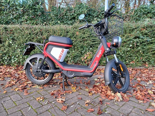 Mangosteen - snorscooter - ecruiser en type echopper 3.0 - e-scooter - afbeelding 13 van  21