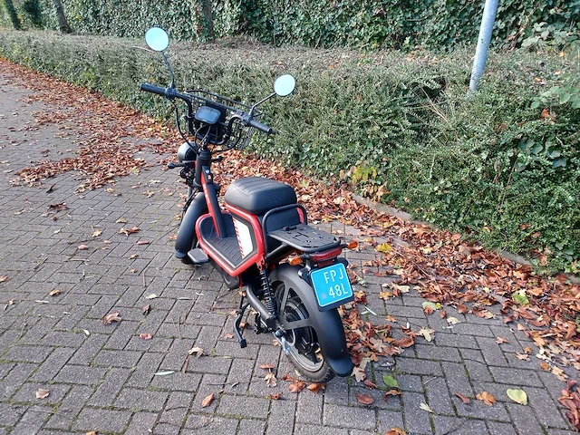 Mangosteen - snorscooter - ecruiser en type echopper 3.0 - e-scooter - afbeelding 15 van  21