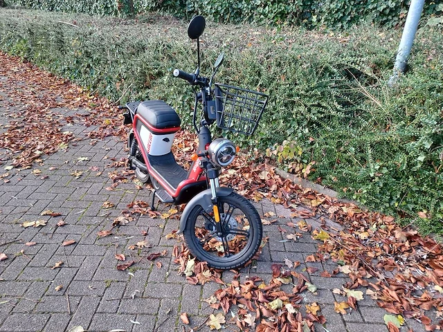 Mangosteen - snorscooter - ecruiser en type echopper 3.0 - e-scooter - afbeelding 16 van  21
