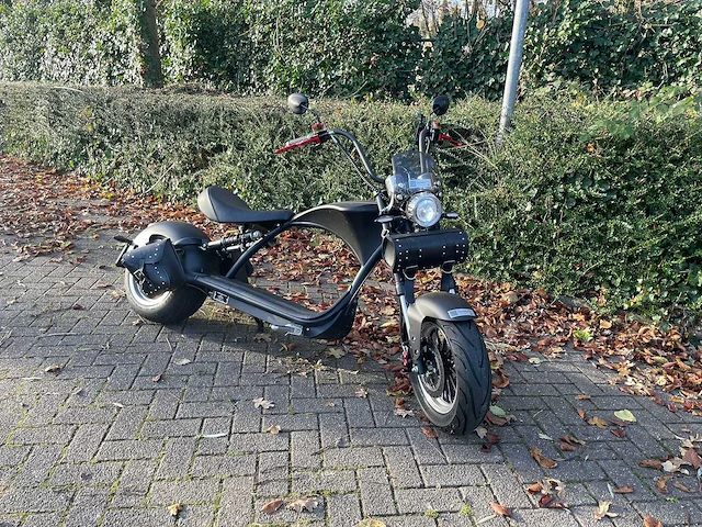 Mangosteen - snorscooter - ecruiser en type echopper 3.0 - e-scooter - afbeelding 19 van  21