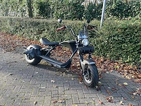 Mangosteen - snorscooter - ecruiser en type echopper 3.0 - e-scooter - afbeelding 19 van  21
