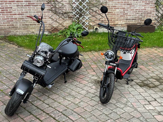 Mangosteen - snorscooter - ecruiser en type echopper 3.0 - e-scooter - afbeelding 1 van  21
