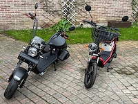 Mangosteen - snorscooter - ecruiser en type echopper 3.0 - e-scooter - afbeelding 1 van  21