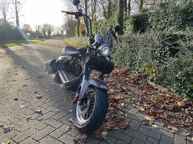 Mangosteen - snorscooter - ecruiser en type echopper 3.0 - e-scooter - afbeelding 2 van  21