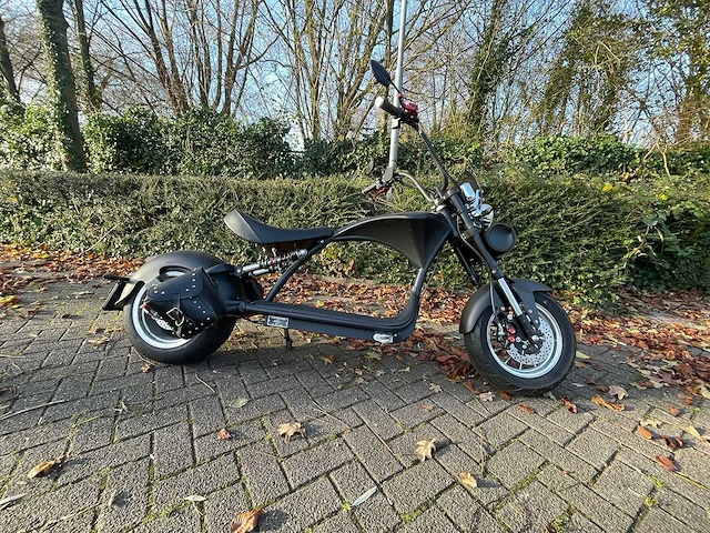Mangosteen - snorscooter - ecruiser en type echopper 3.0 - e-scooter - afbeelding 3 van  21