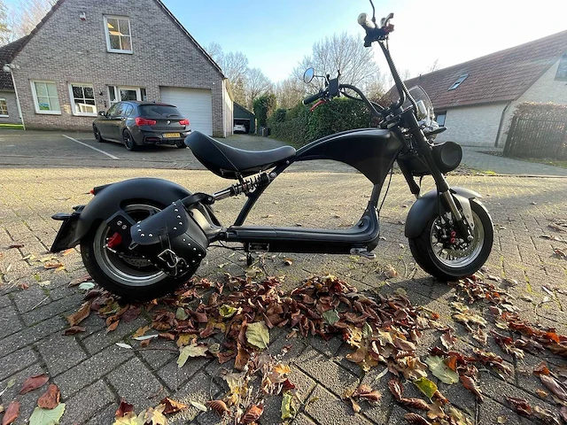 Mangosteen - snorscooter - ecruiser en type echopper 3.0 - e-scooter - afbeelding 4 van  21