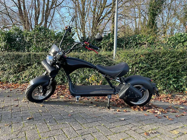 Mangosteen - snorscooter - ecruiser en type echopper 3.0 - e-scooter - afbeelding 5 van  21