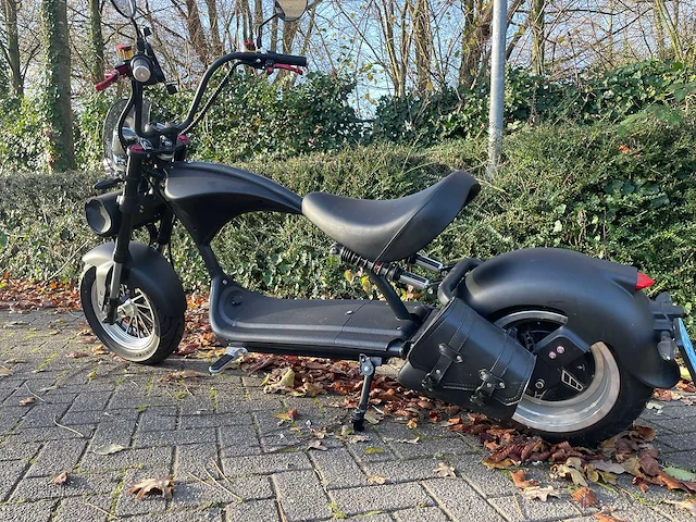 Mangosteen - snorscooter - ecruiser en type echopper 3.0 - e-scooter - afbeelding 6 van  21