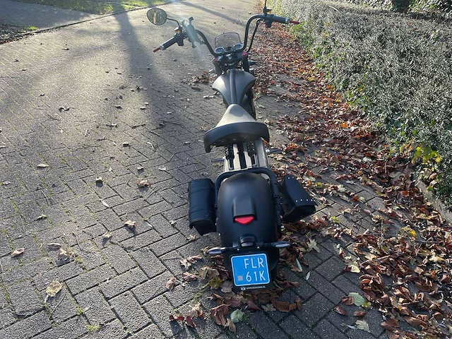 Mangosteen - snorscooter - ecruiser en type echopper 3.0 - e-scooter - afbeelding 7 van  21
