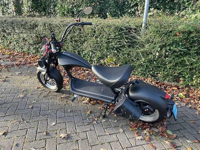 Mangosteen - snorscooter - ecruiser en type echopper 3.0 - e-scooter - afbeelding 9 van  21
